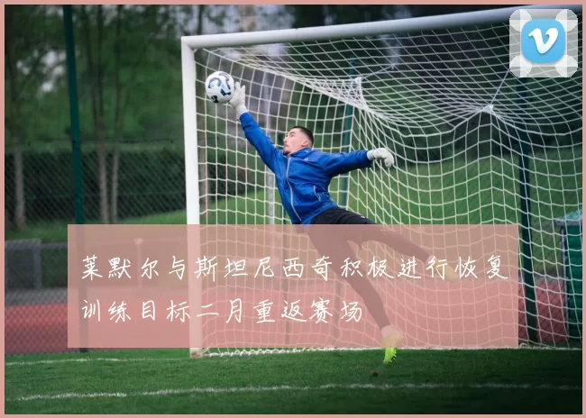 莱默尔与斯坦尼西奇积极进行恢复训练目标二月重返赛场