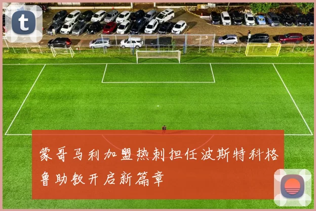 蒙哥马利加盟热刺担任波斯特科格鲁助教开启新篇章